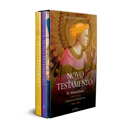 Box-Bíblia-Sagrada-Novo-Testamento